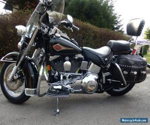 Motorcycle HARLEY-DAVIDSON SOFTAIL EVO PERFECT CONDITION US IMPORT for Sale