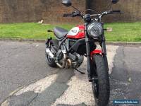 Ducati Scrambler ICON - RACE Termi & Custom Shock 