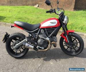 Motorcycle Ducati Scrambler ICON - RACE Termi & Custom Shock  for Sale