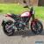 Ducati Scrambler ICON - RACE Termi & Custom Shock  for Sale