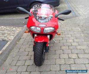 Motorcycle Triumph Daytona 955  for Sale