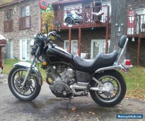 Motorcycle 1983 Yamaha Virago for Sale