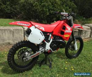 Motorcycle Honda CR250 R VMX 1989 for Sale