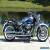 2010 Harley-Davidson Softail for Sale