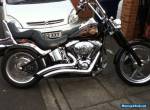 Harley Davidson FLSTC for Sale