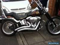 Harley Davidson FLSTC