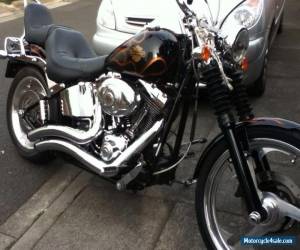 Motorcycle Harley Davidson FLSTC for Sale