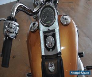 Motorcycle Harley Davidson FLHSTC for Sale