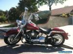 2005 Harley-Davidson Softail for Sale