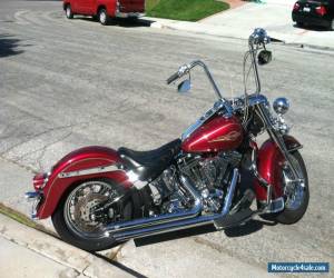 Motorcycle 2005 Harley-Davidson Softail for Sale