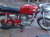 ducati  bevel mac 1  250 rare bird