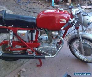 ducati  bevel mac 1  250 rare bird for Sale