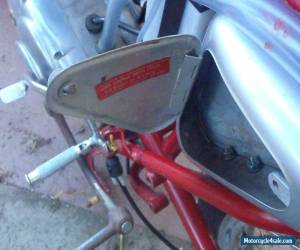 Motorcycle ducati  bevel mac 1  250 rare bird for Sale