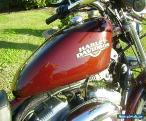 Motorcycle 2007 Harley Davidson Low Km's for Sale