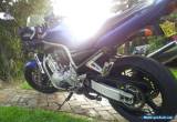 Yamaha FZ1 2001 for Sale