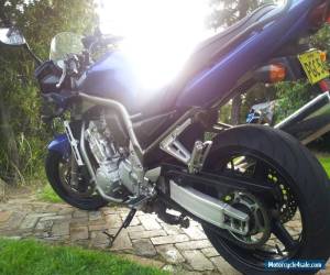 Motorcycle Yamaha FZ1 2001 for Sale