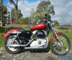 Motorcycle 2005 HARLEY 883 SPORTSTER CUSTOM only 19655Ks Cheap @ $7990 for Sale