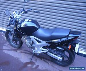 Motorcycle Honda CBF 250 2008 for Sale