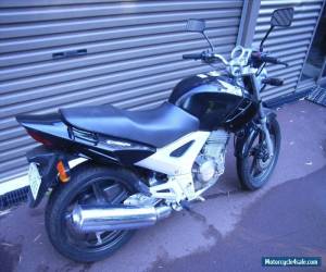 Motorcycle Honda CBF 250 2008 for Sale