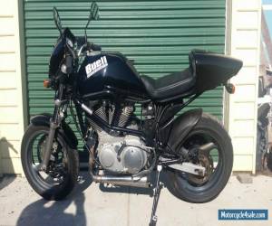 Motorcycle 1996 Buell Cyclone for Sale