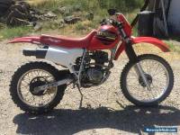 2002 HONDA XR200R Trail Bike