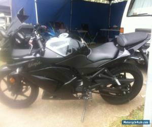 Motorcycle 2010 250 ninja for Sale