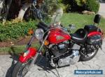 2001 Indian Scout for Sale