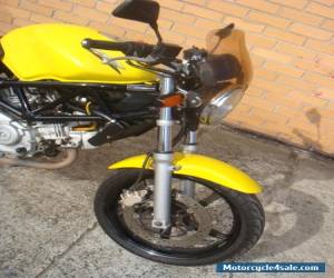 Motorcycle HONDA VTR250 GREAT LAMS LEARNER BIKE V TWIN  for Sale