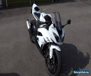 Motorcycle 2009 KAWASAKI ZX6R WHITE for Sale