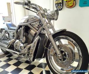 CUSTOM HARLEY-DAVIDSON V-ROD. ( not chopper, bobber, cafe racer ) for Sale