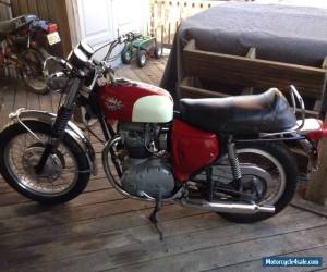 1968 BSA Spitfire for Sale