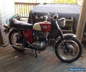 Motorcycle 1968 BSA Spitfire for Sale