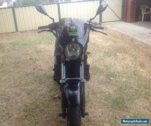 Motorcycle Suzuki GSX1400 Black Beauty for Sale