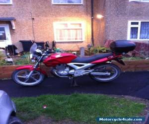 Motorcycle Honda cbf250 for Sale