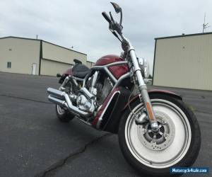 Motorcycle 2004 Harley-Davidson VRSC for Sale