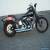 1989 Harley-Davidson Softail for Sale