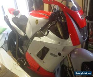 Motorcycle SPECIAL PROJECT YAMAHA FZR 1000 EXUP/R1 HYBRID for Sale