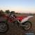 Honda CRF250R 2010 for Sale