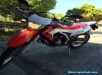 Honda CRF250L Dual Sport for Sale