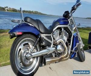 Motorcycle Harley Davidson V-Rod for Sale