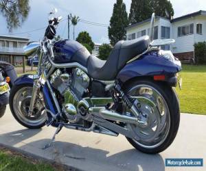 Motorcycle Harley Davidson V-Rod for Sale