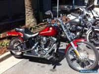 Harley Davidson softail standard