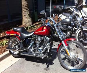 Motorcycle Harley Davidson softail standard for Sale