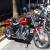 Harley Davidson softail standard for Sale