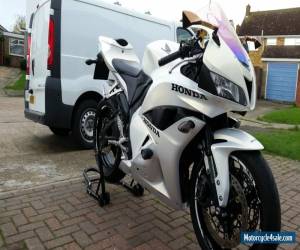 Motorcycle 2010 HONDA CBR 600 RR-A WHITE for Sale