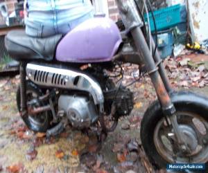 Motorcycle BARN FIND HONDA 1978 Z50 MONKEY BIKE Z 50 PIT BIKE for Sale