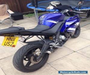 Motorcycle 2011 YAMAHA YZF R125 BLUE for Sale