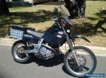 Suzuki DR650 for Sale