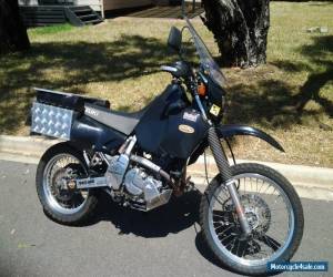 Motorcycle Suzuki DR650 for Sale