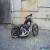 Custom Harley Davidson  for Sale